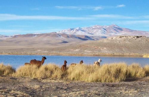 Catamarca